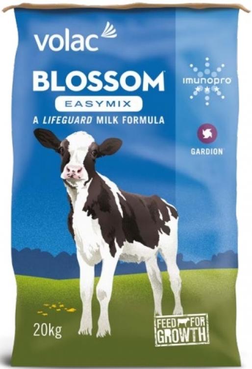 Pieno pakaitalai veršeliams - Blossom Easymix 